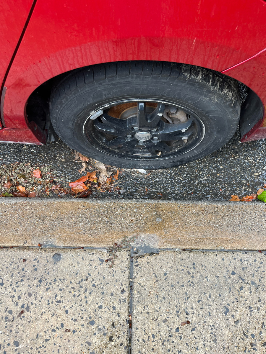 Photographic documentation of the work as submitted to the city's 311 record.