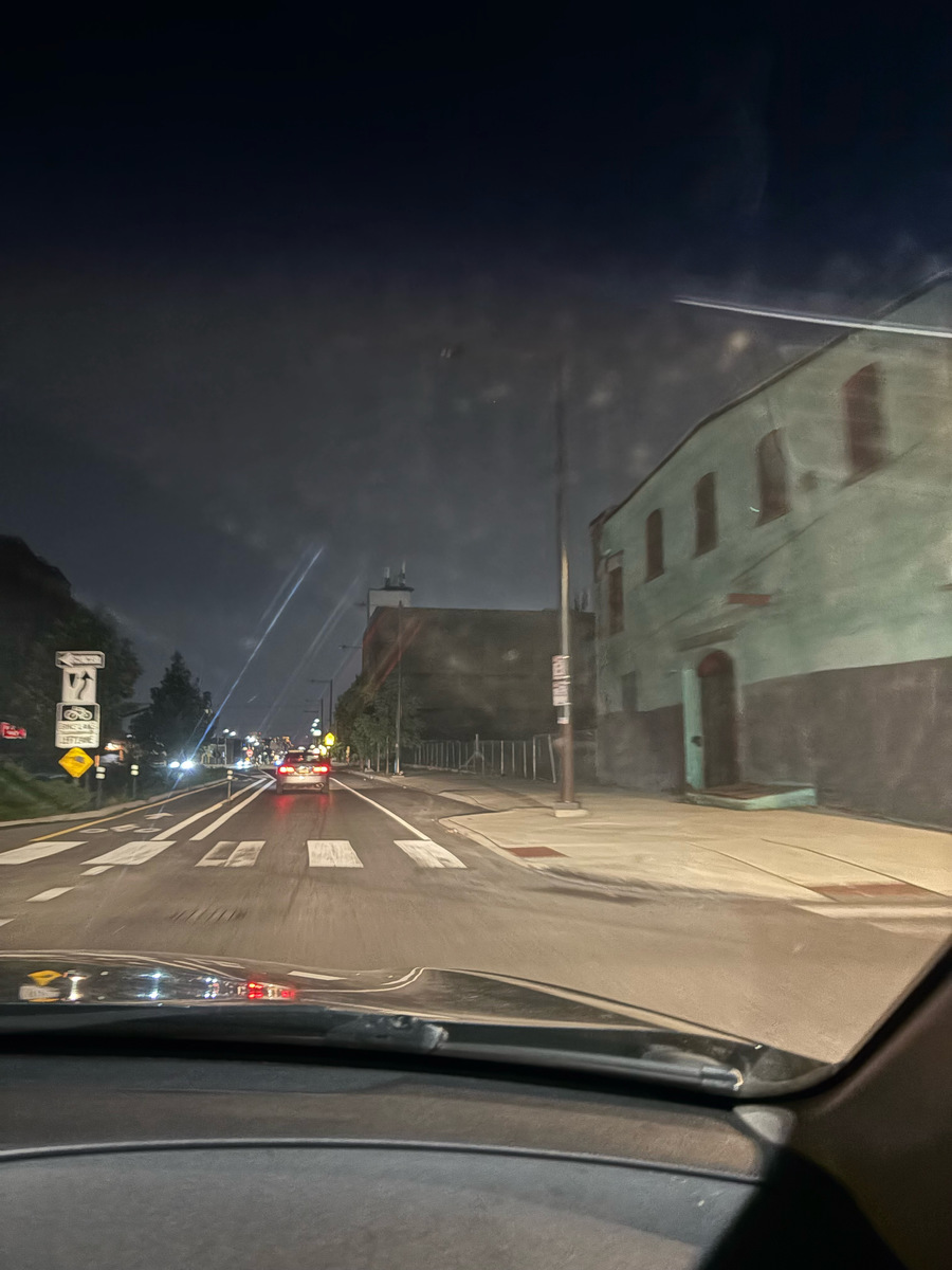 Photographic documentation of the work as submitted to the city's 311 record.