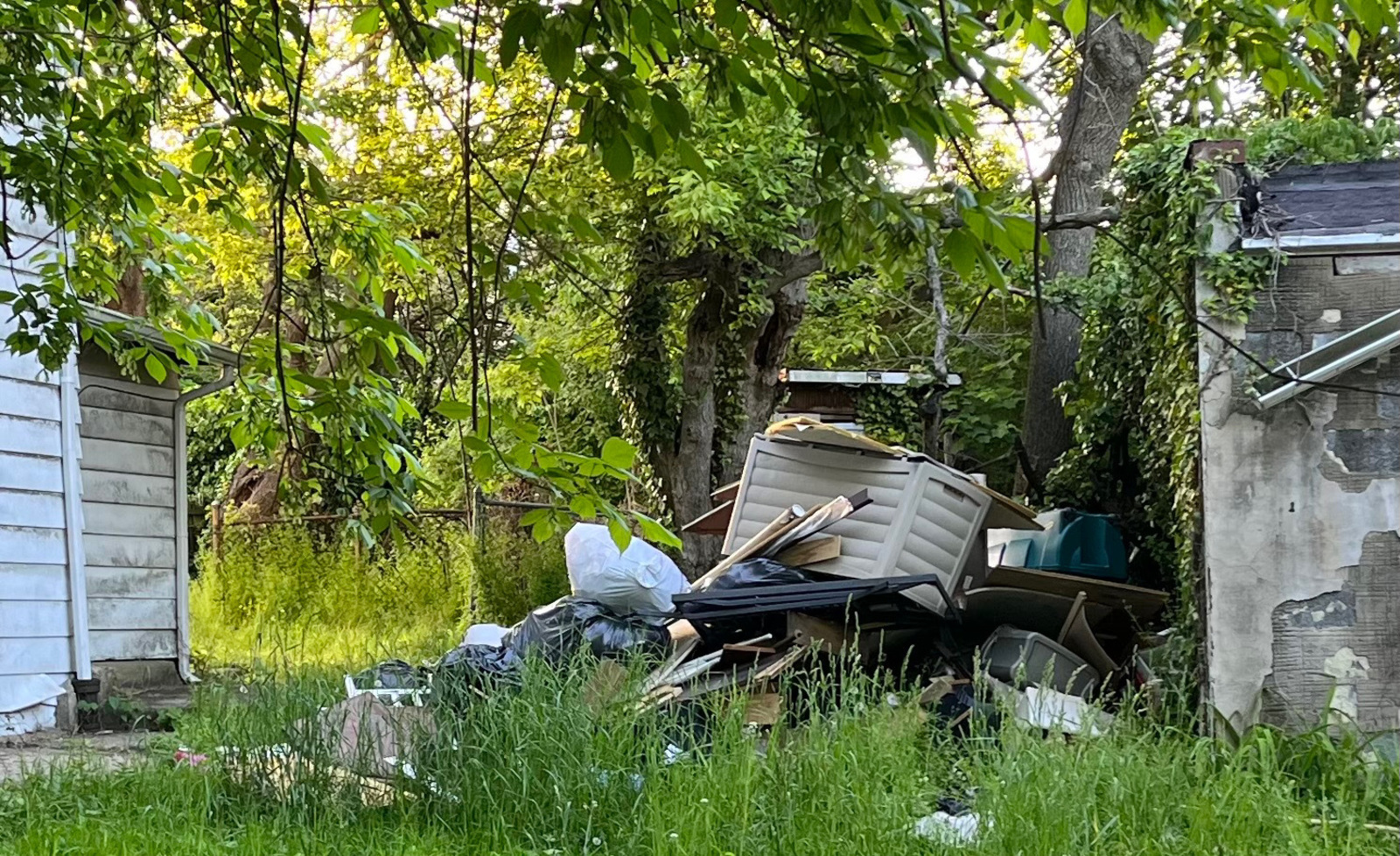 Photographic documentation of the work as submitted to the city's 311 record.