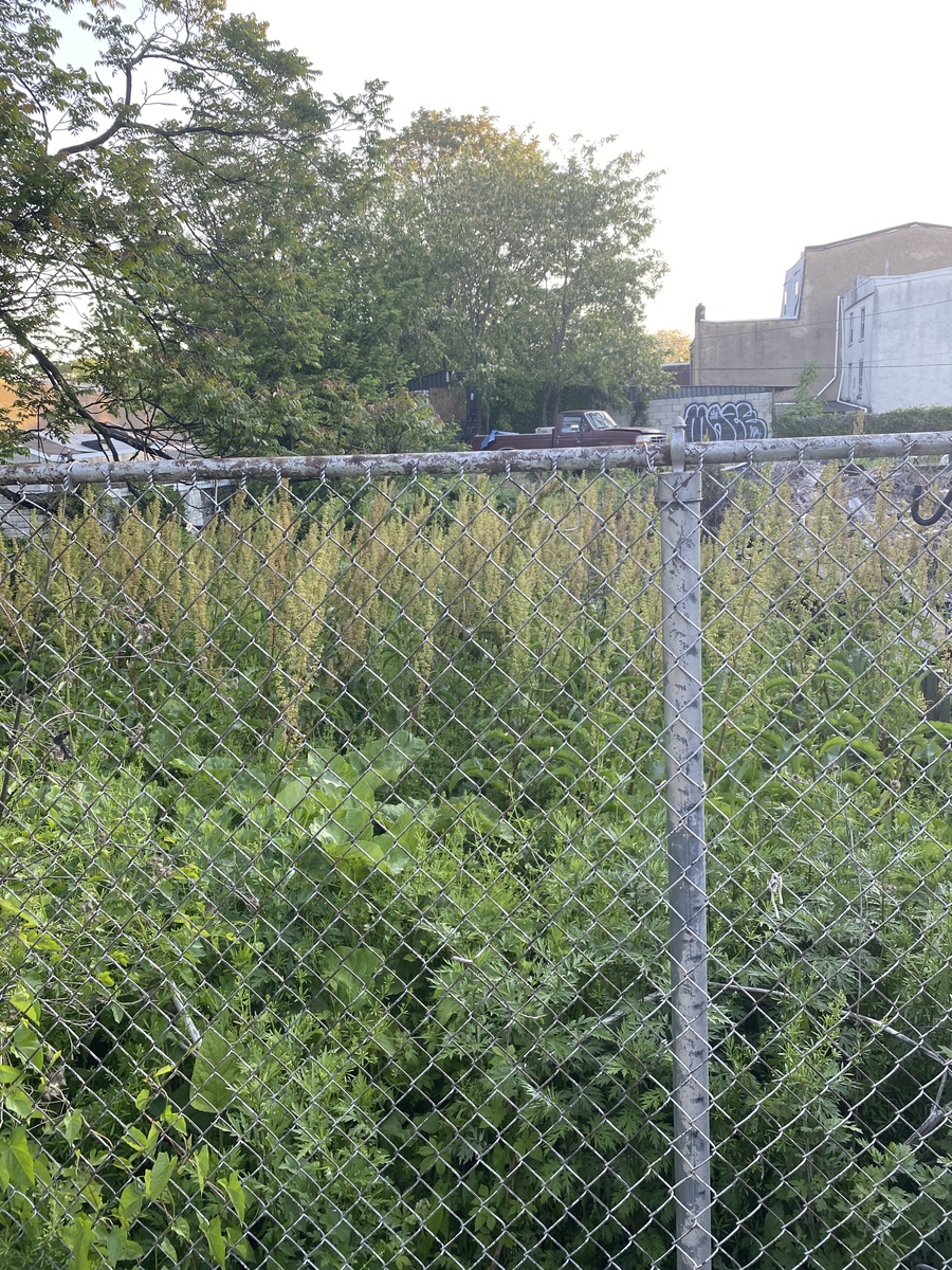 Photographic documentation of the work as submitted to the city's 311 record.