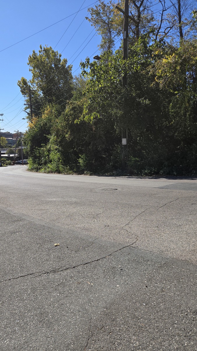 Photographic documentation of the work as submitted to the city's 311 record.