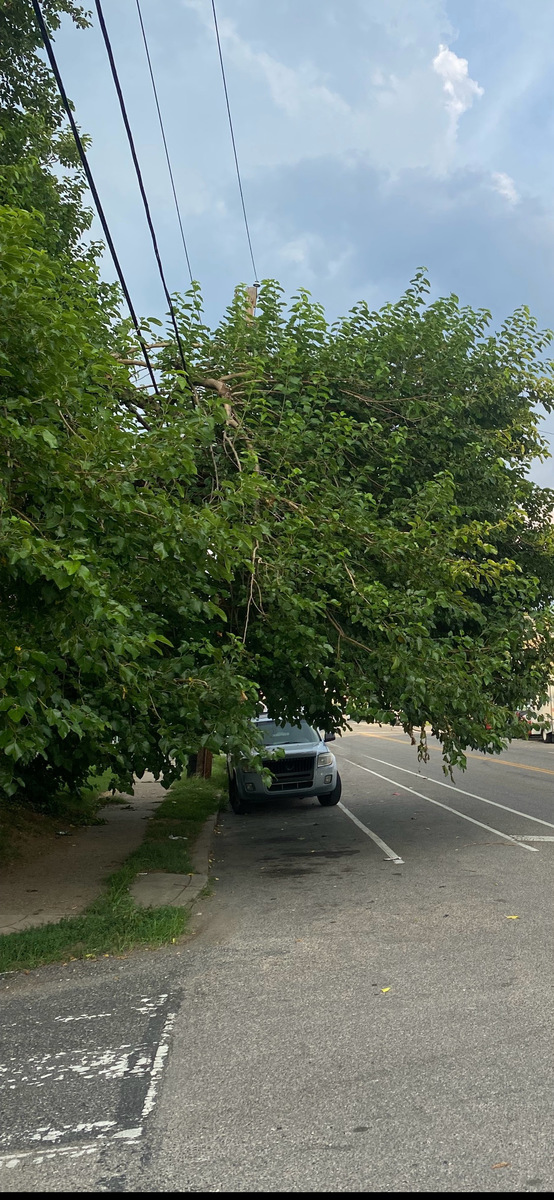 Photographic documentation of the work as submitted to the city's 311 record.
