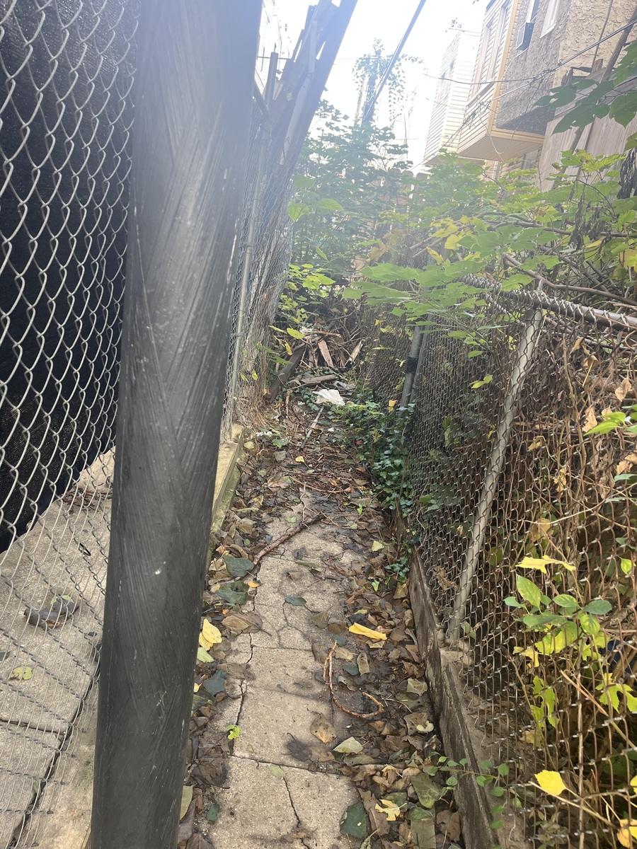 Photographic documentation of the work as submitted to the city's 311 record.