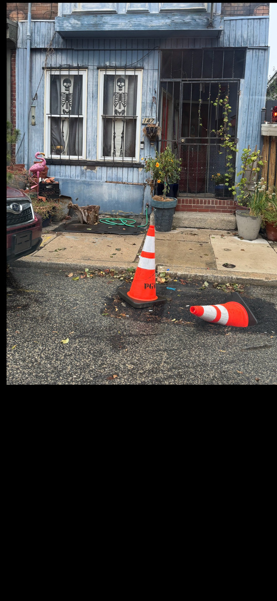 Photographic documentation of the work as submitted to the city's 311 record.