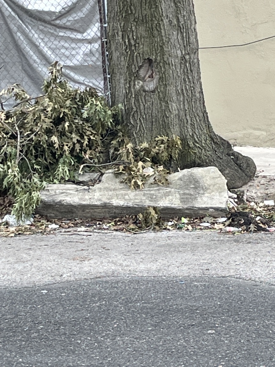 Photographic documentation of the work as submitted to the city's 311 record.