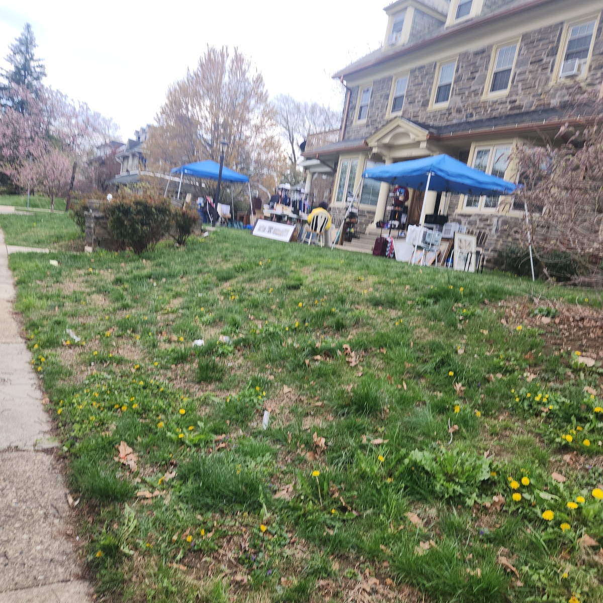 Photographic documentation of the work as submitted to the city's 311 record.