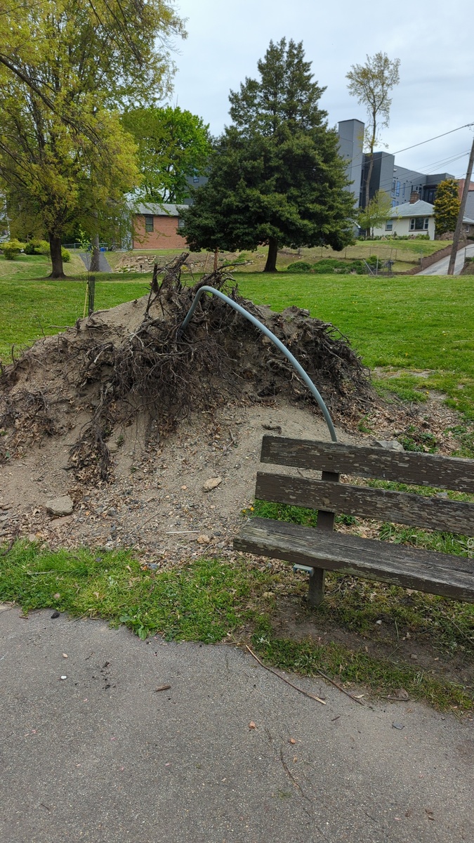 Photographic documentation of the work as submitted to the city's 311 record.