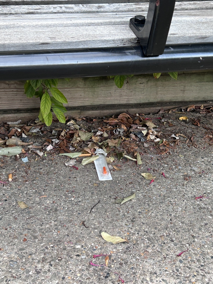 Photographic documentation of the work as submitted to the city's 311 record.
