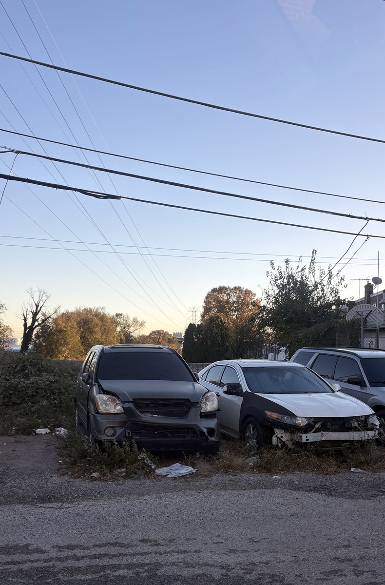 Photographic documentation of the work as submitted to the city's 311 record.