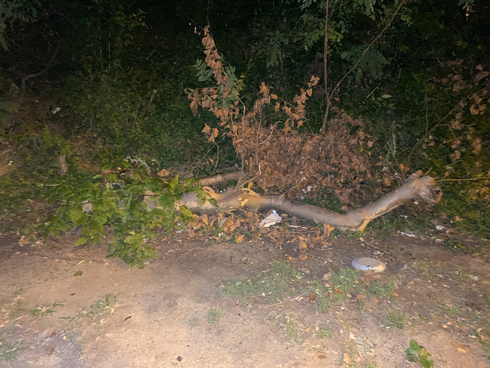 Photographic documentation of the work as submitted to the city's 311 record.