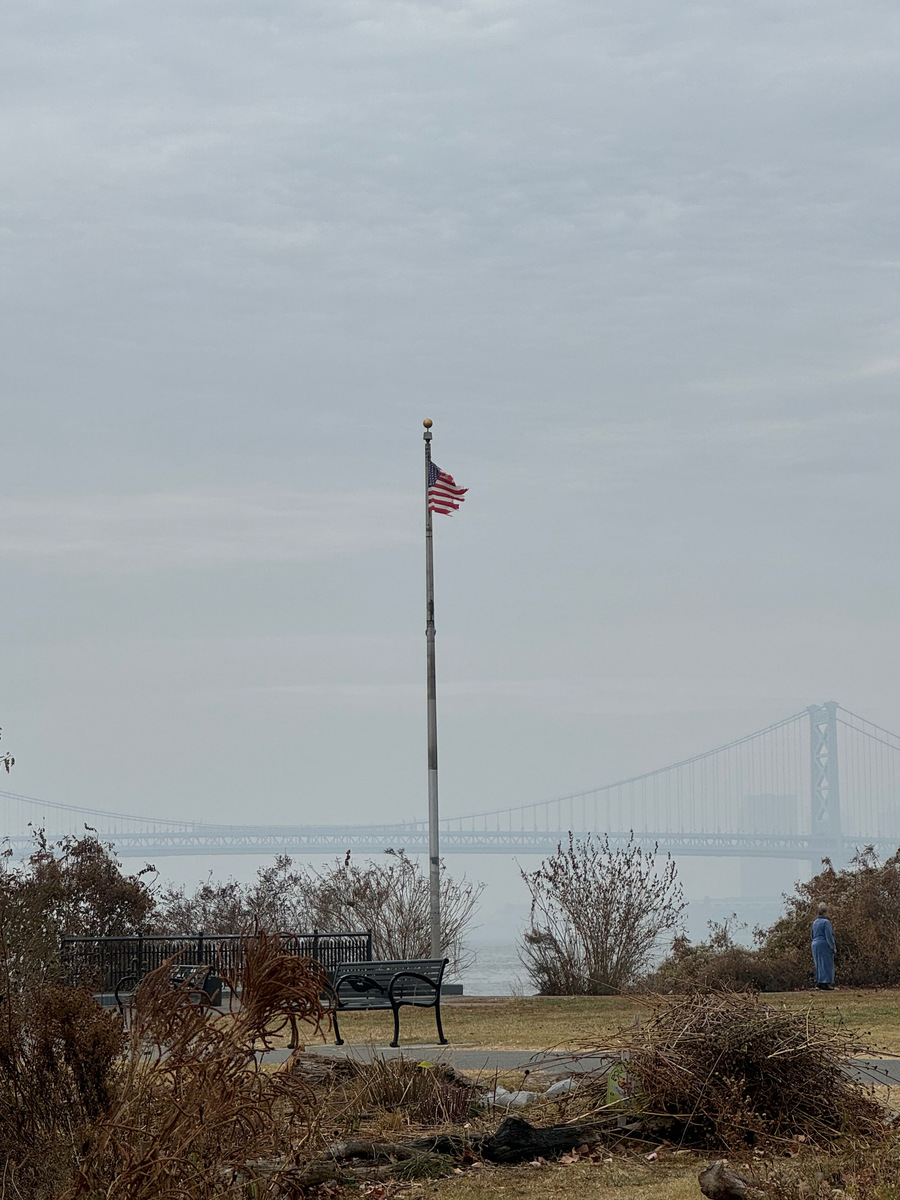 Photographic documentation of the work as submitted to the city's 311 record.