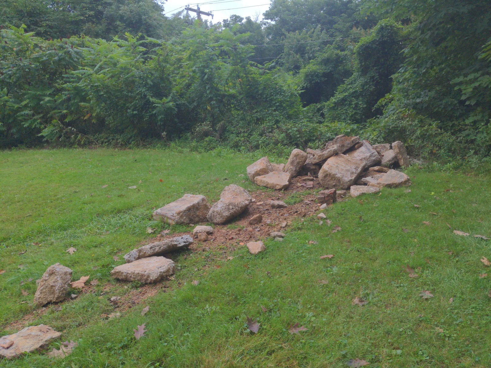 Photographic documentation of the work as submitted to the city's 311 record.