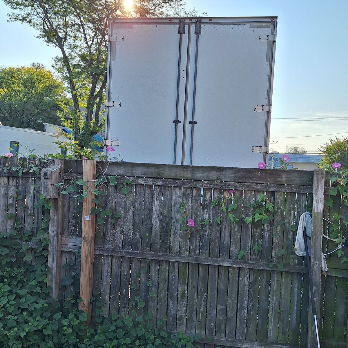 Photographic documentation of the work as submitted to the city's 311 record.