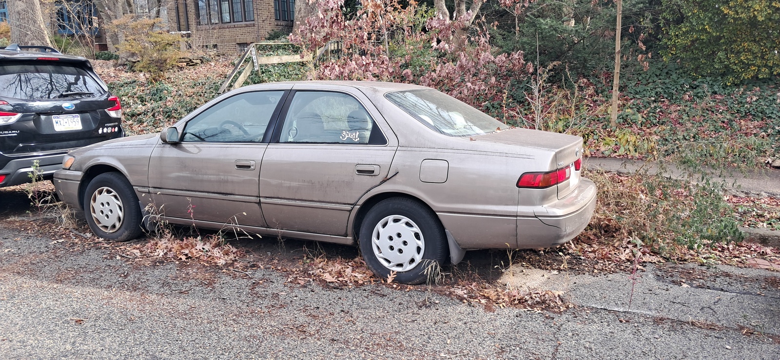Photographic documentation of the work as submitted to the city's 311 record.