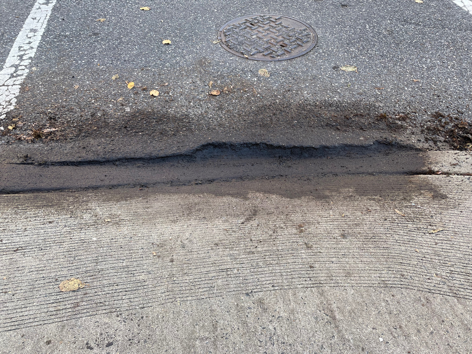Photographic documentation of the work as submitted to the city's 311 record.