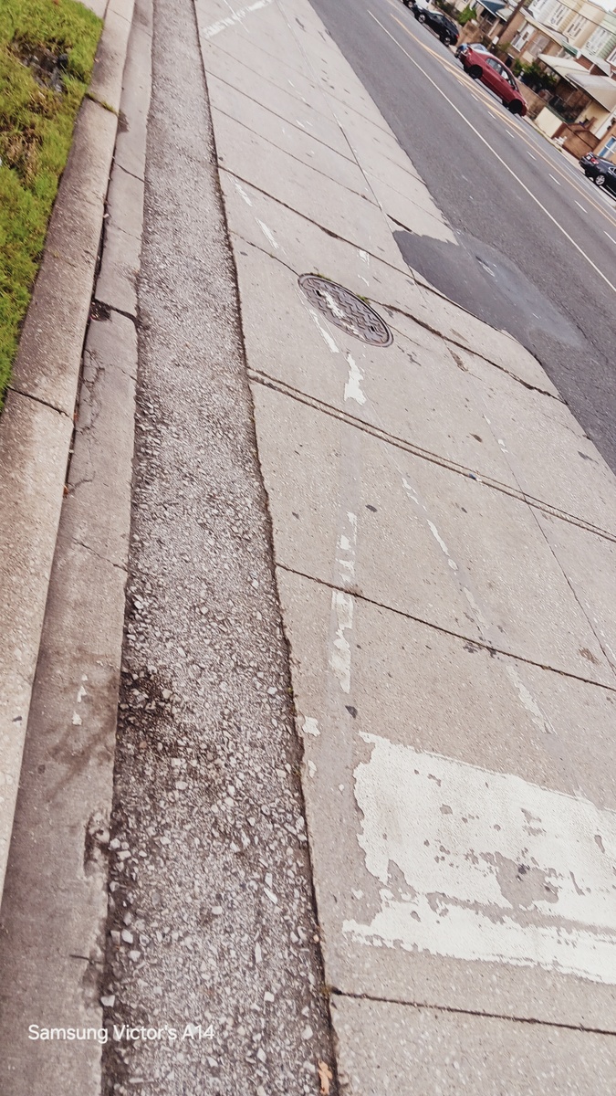 Photographic documentation of the work as submitted to the city's 311 record.