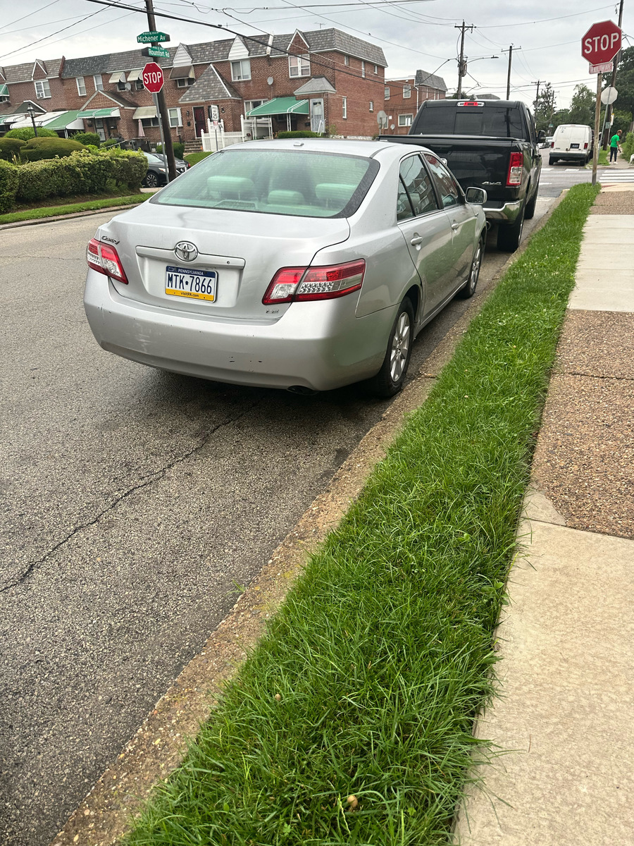 Photographic documentation of the work as submitted to the city's 311 record.