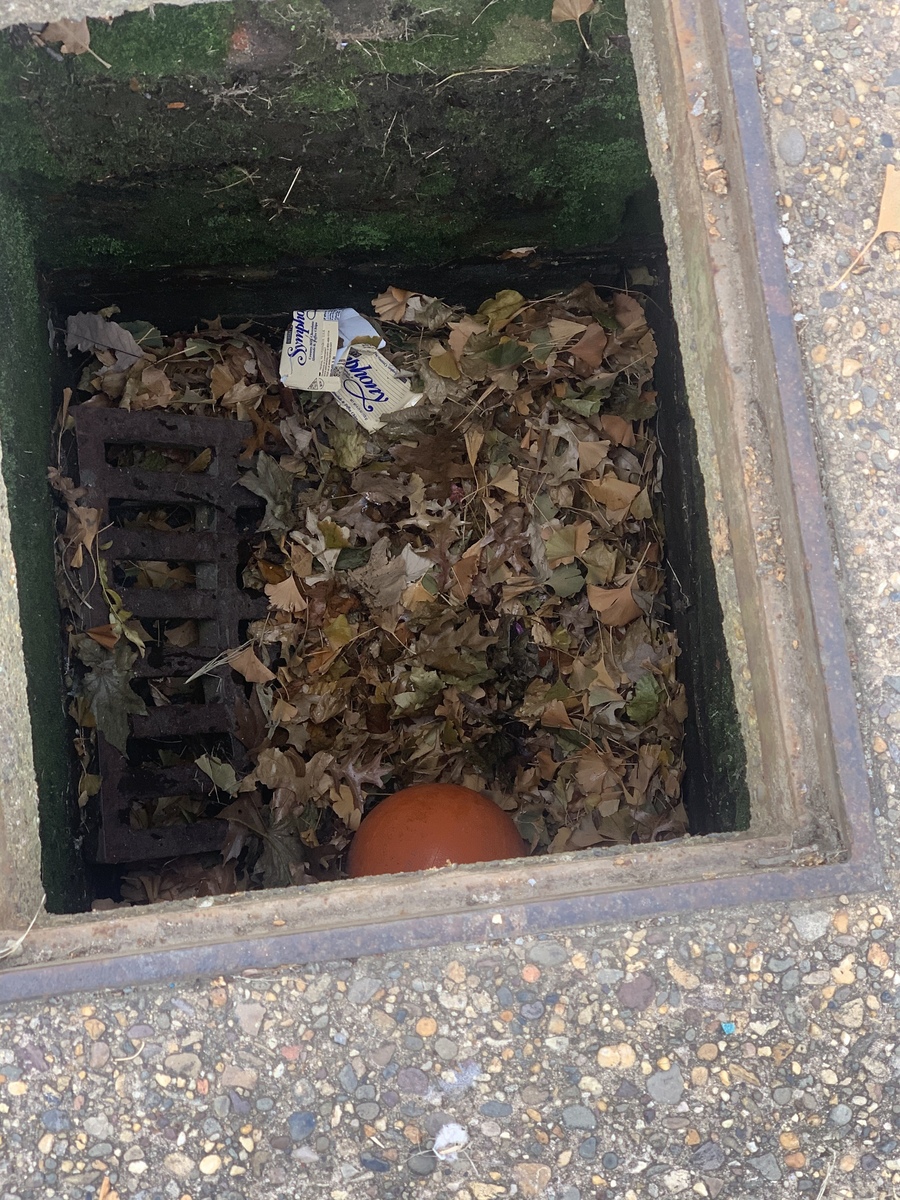 Photographic documentation of the work as submitted to the city's 311 record.