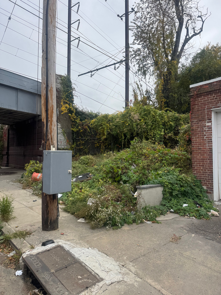 Photographic documentation of the work as submitted to the city's 311 record.