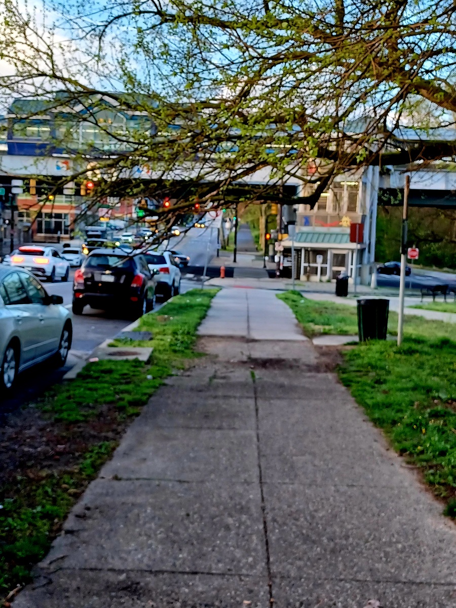 Photographic documentation of the work as submitted to the city's 311 record.
