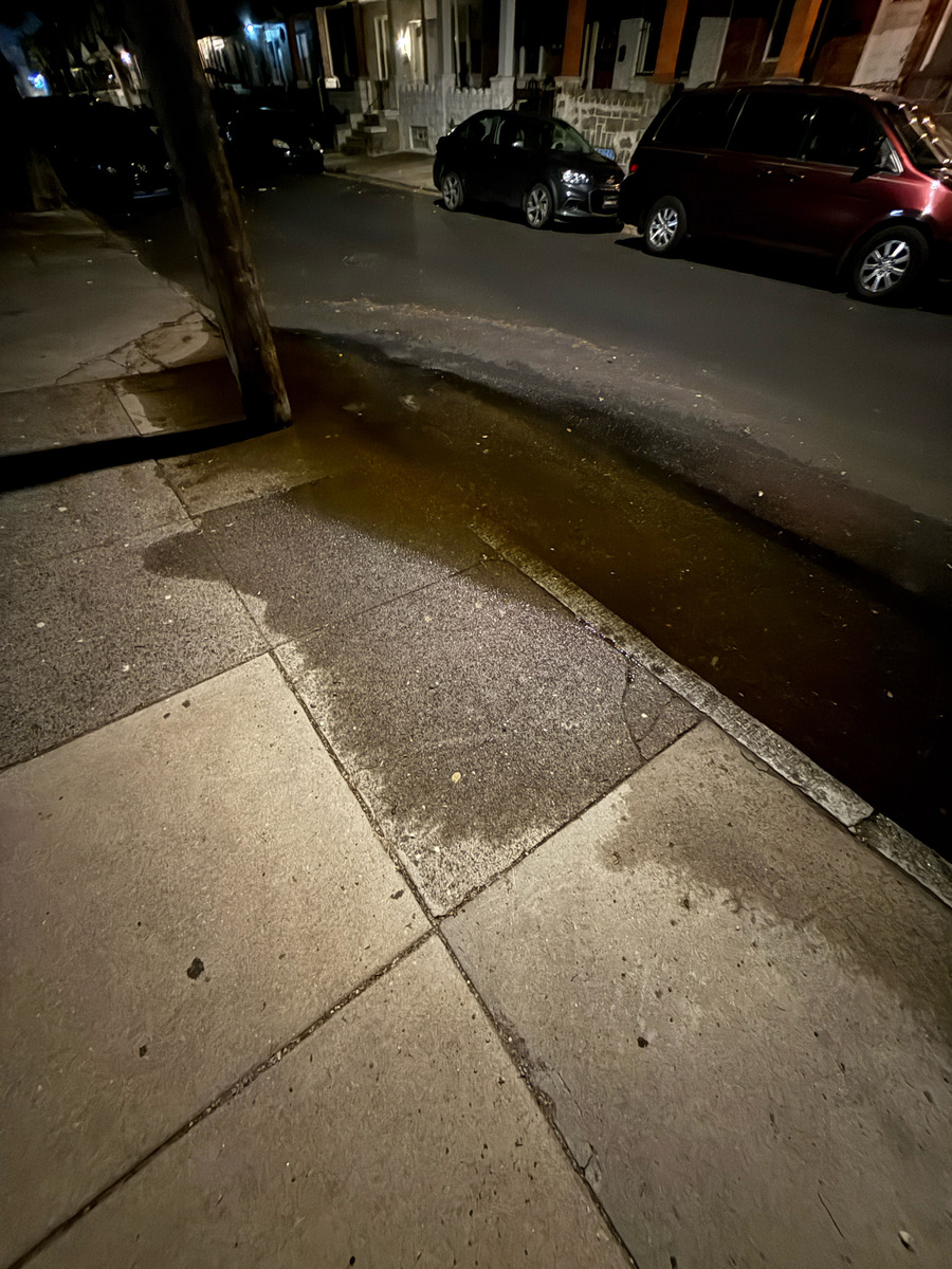 Photographic documentation of the work as submitted to the city's 311 record.
