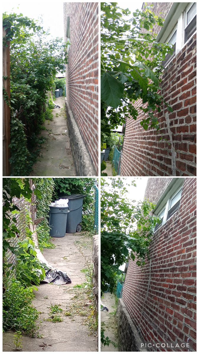 Photographic documentation of the work as submitted to the city's 311 record.