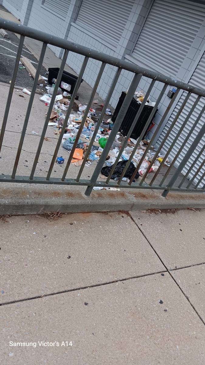 Photographic documentation of the work as submitted to the city's 311 record.