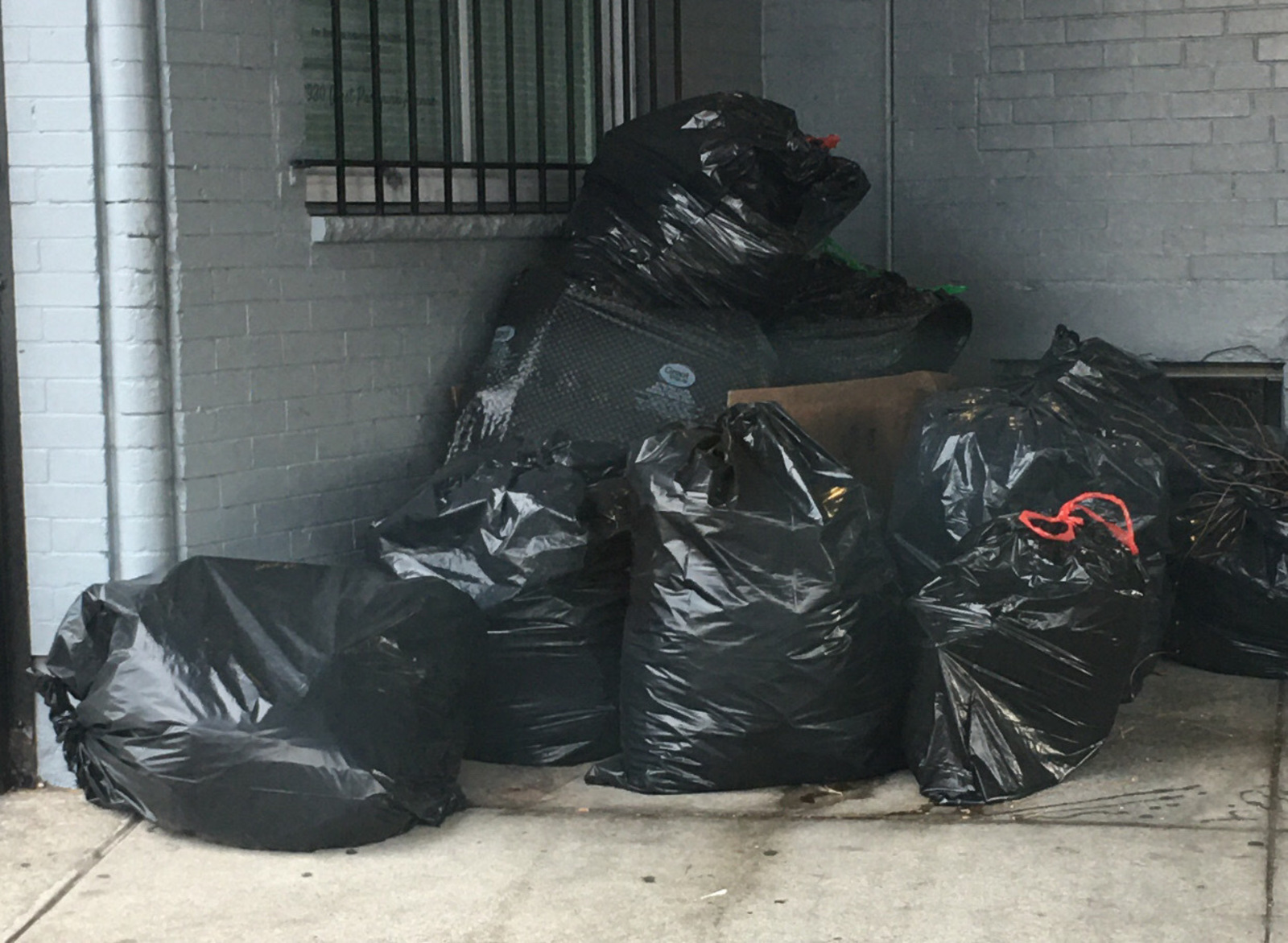 Photographic documentation of the work as submitted to the city's 311 record.