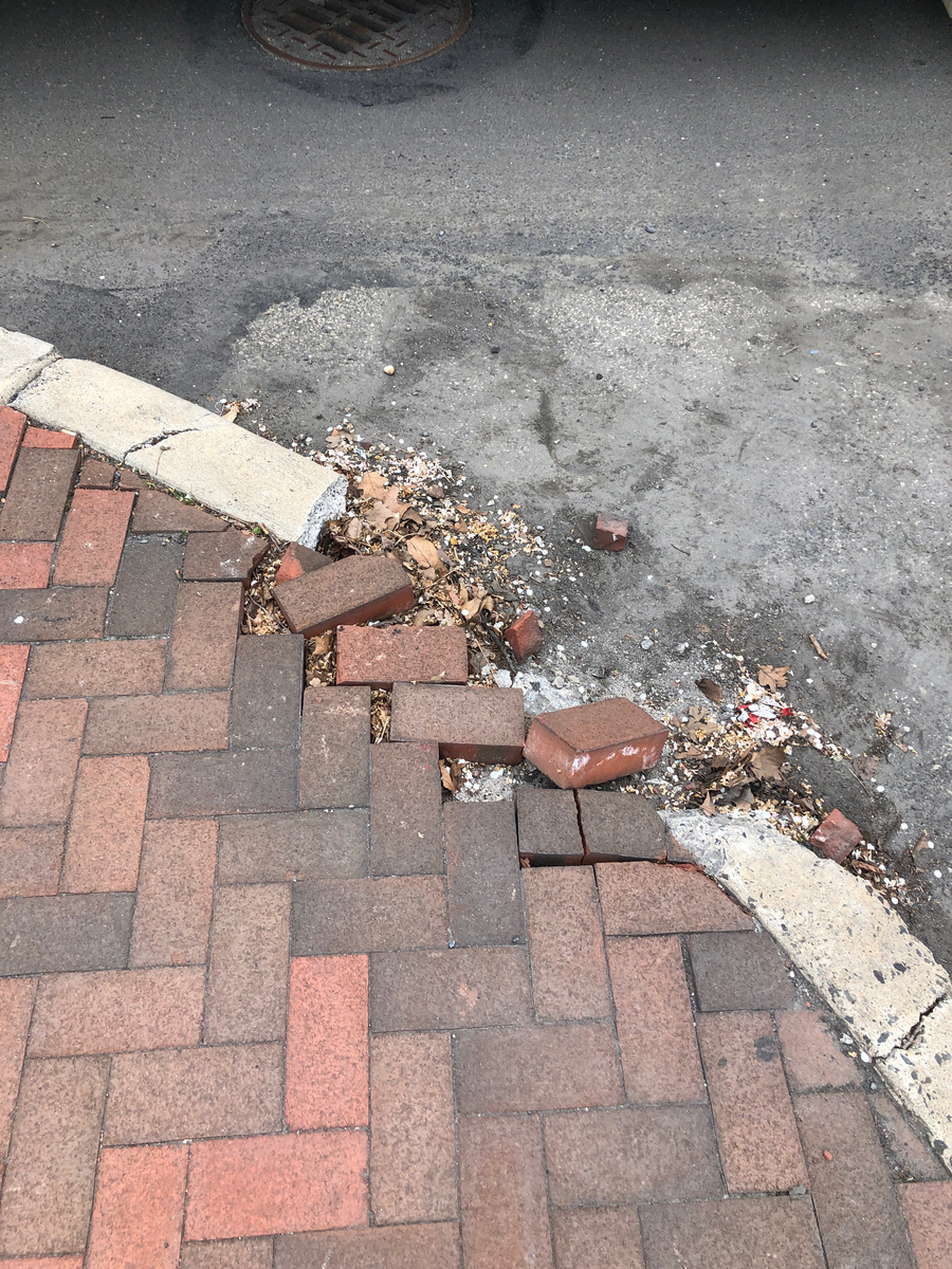 Photographic documentation of the work as submitted to the city's 311 record.