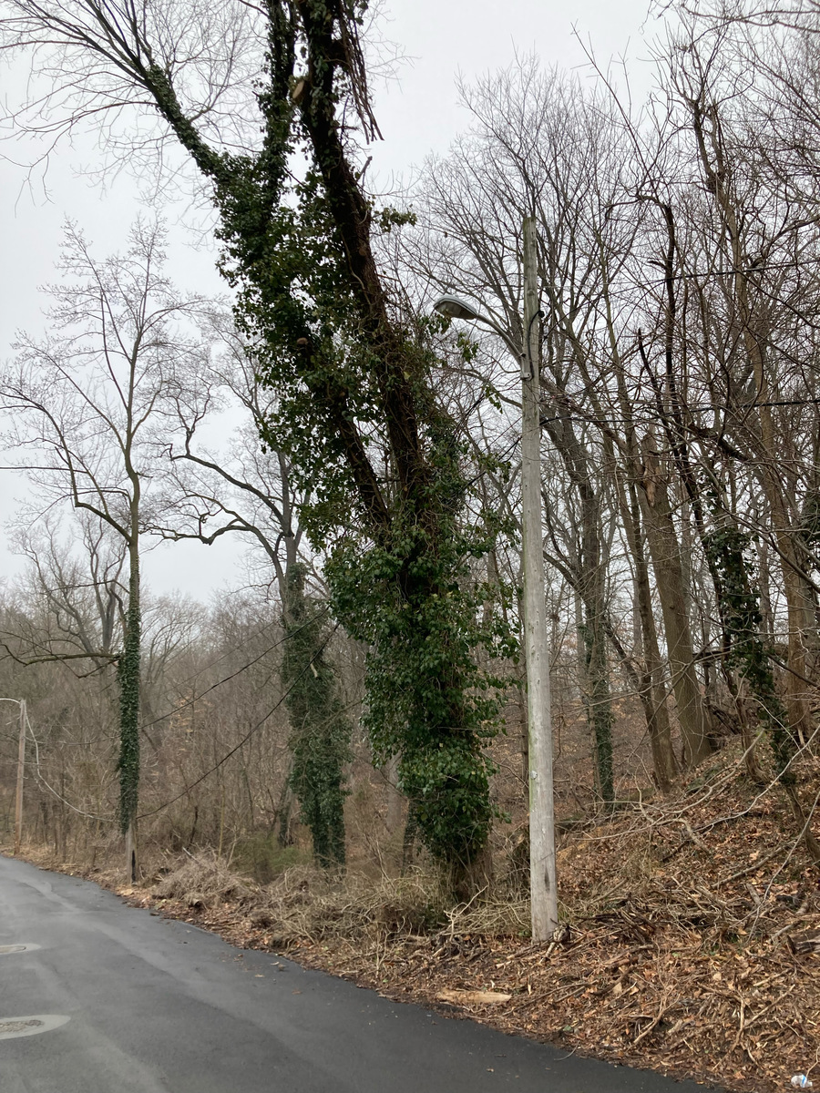 Photographic documentation of the work as submitted to the city's 311 record.