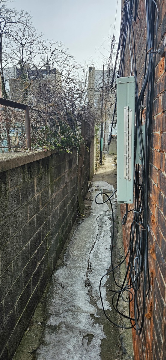 Photographic documentation of the work as submitted to the city's 311 record.
