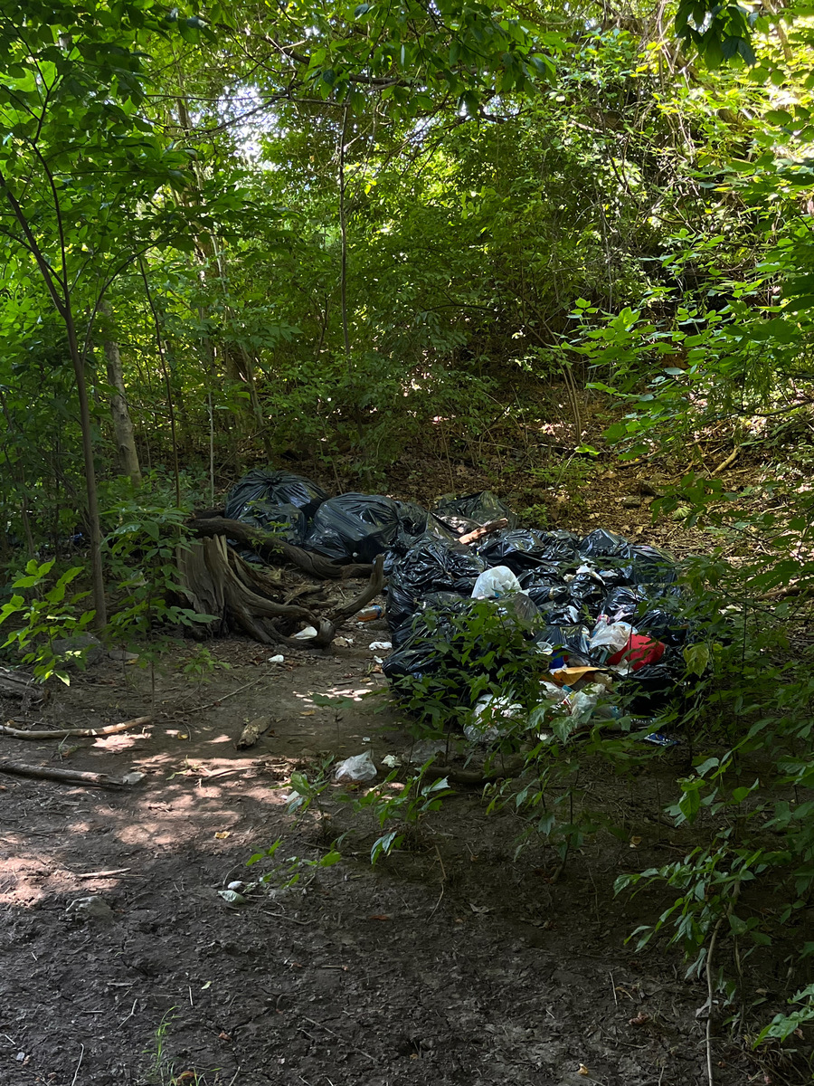 Photographic documentation of the work as submitted to the city's 311 record.