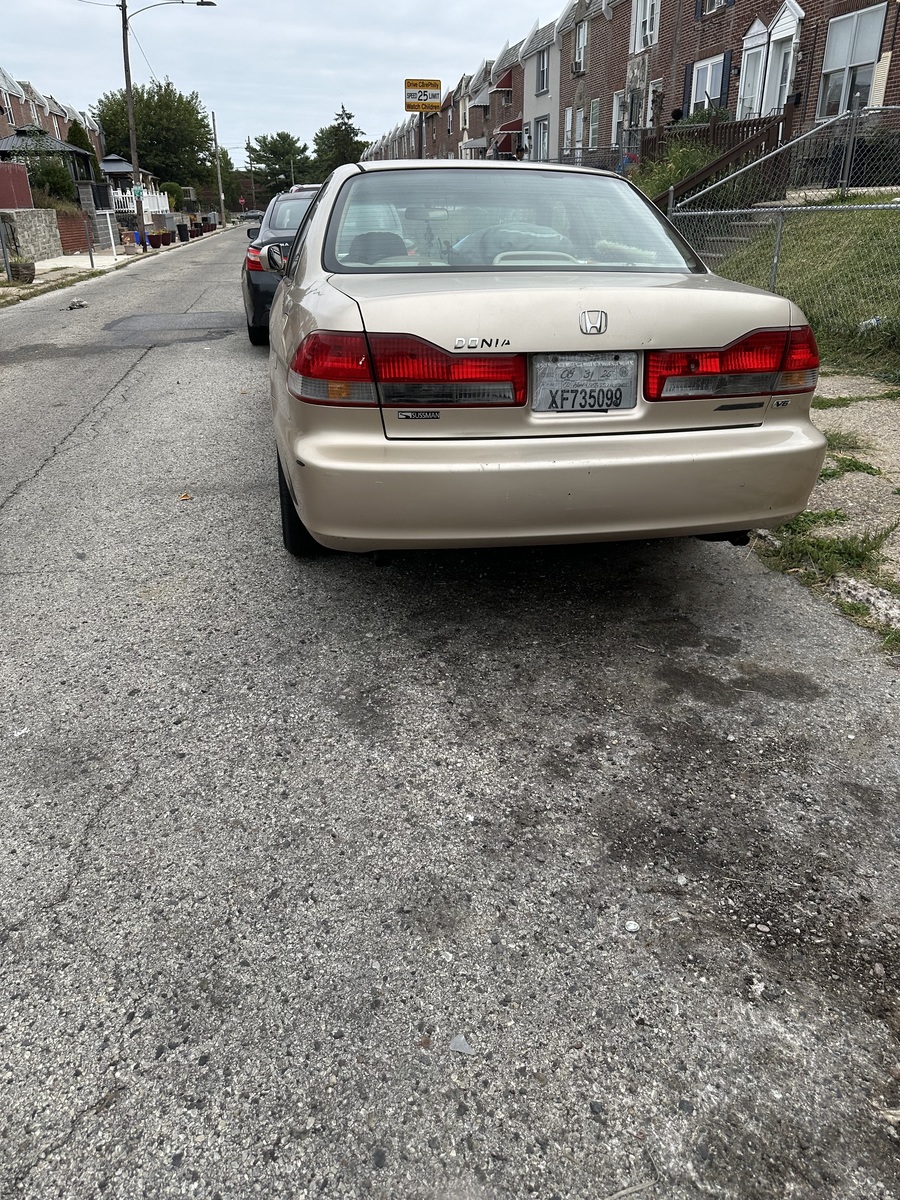 Photographic documentation of the work as submitted to the city's 311 record.