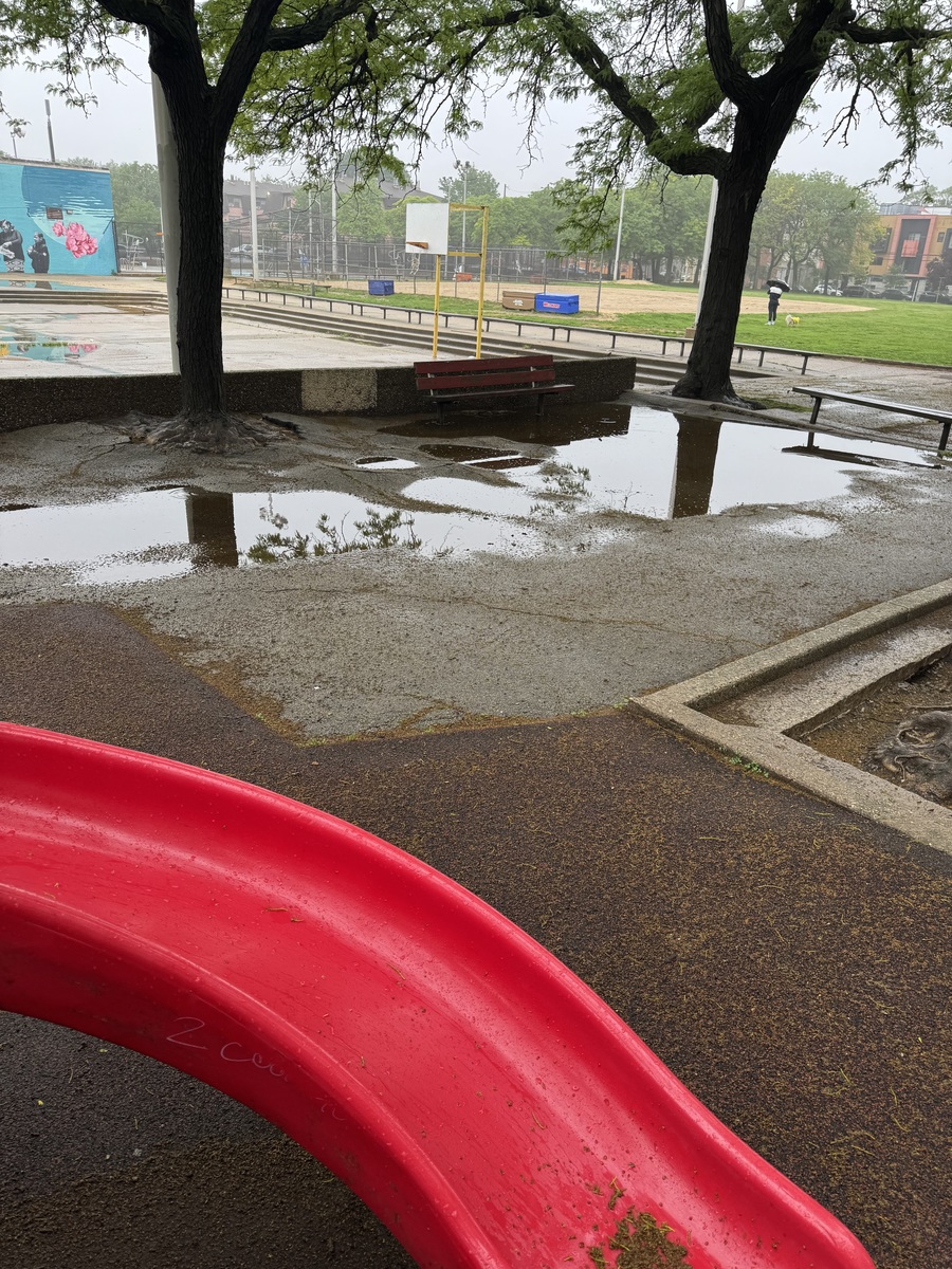 Photographic documentation of the work as submitted to the city's 311 record.