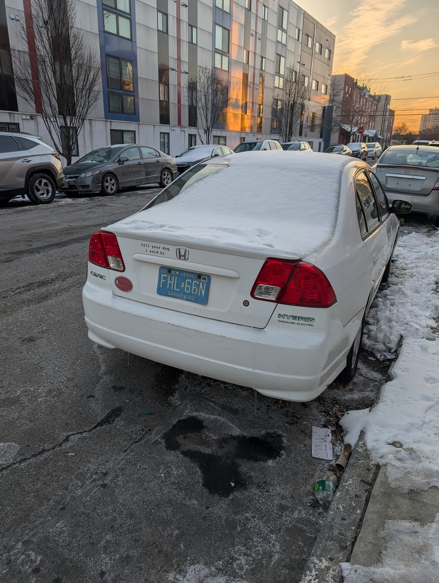 Photographic documentation of the work as submitted to the city's 311 record.