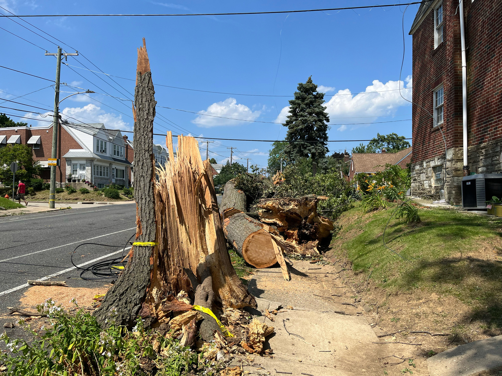 Photographic documentation of the work as submitted to the city's 311 record.