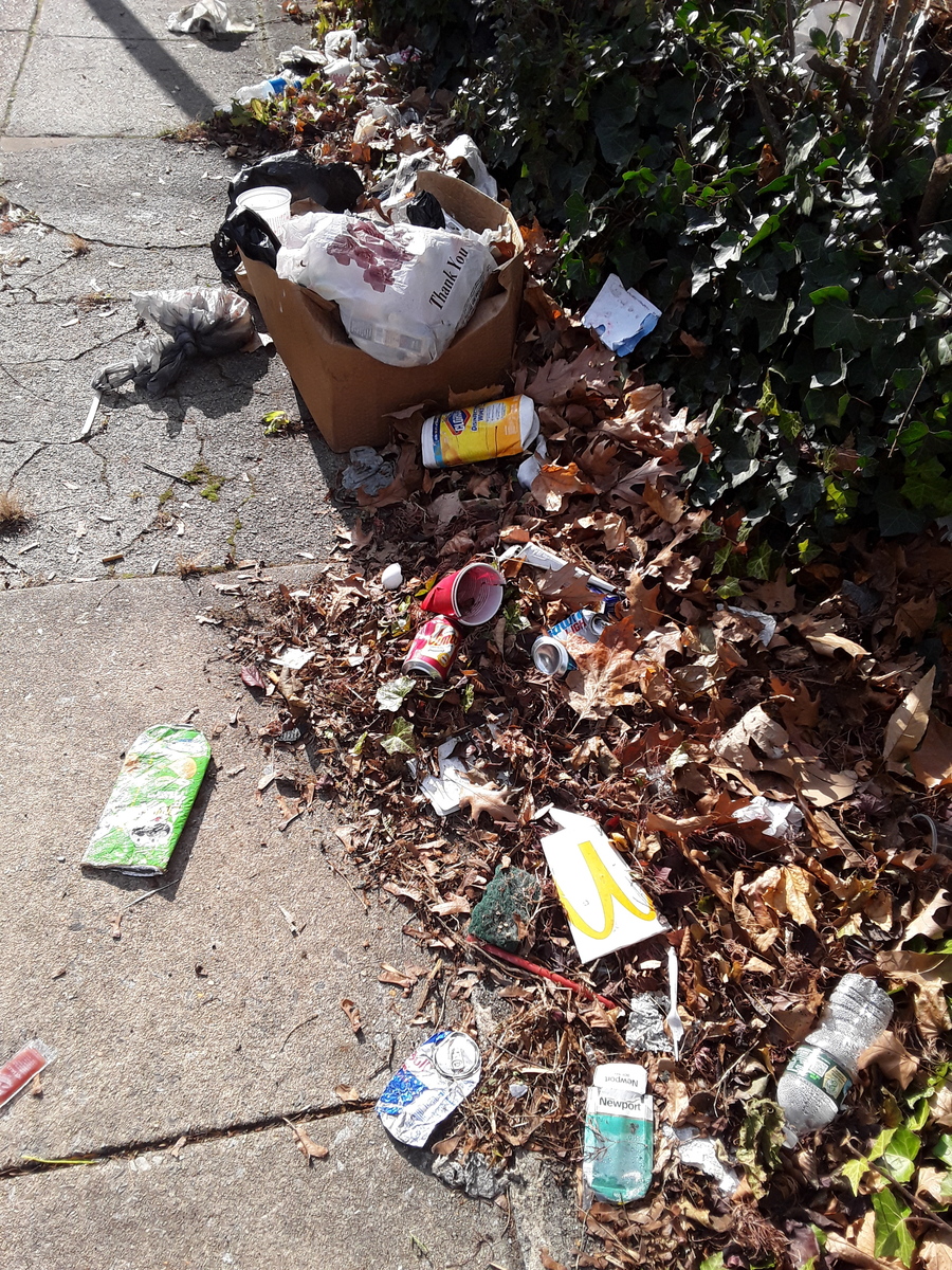 Photographic documentation of the work as submitted to the city's 311 record.