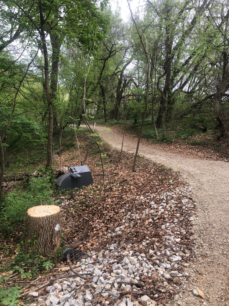 Photographic documentation of the work as submitted to the city's 311 record.