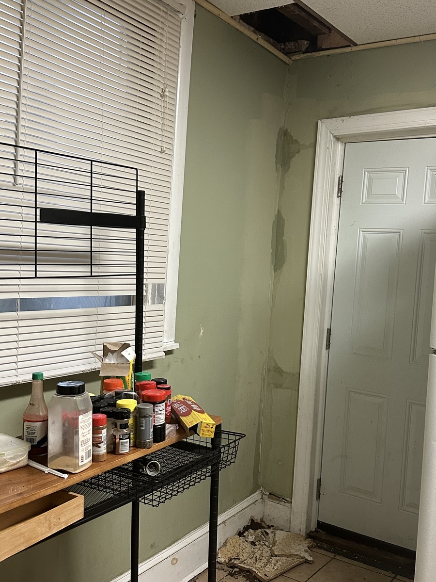 Photographic documentation of the work as submitted to the city's 311 record.