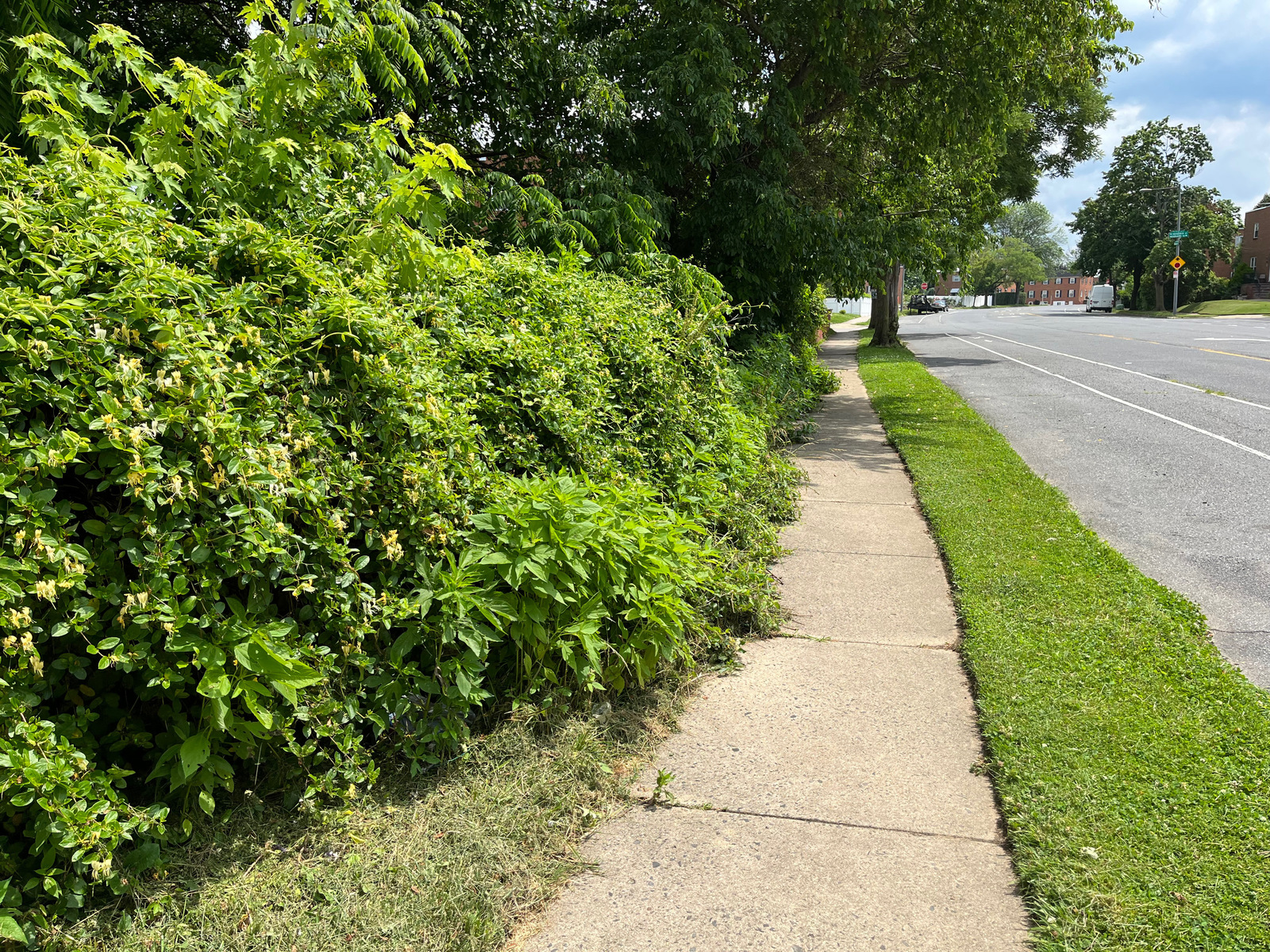 Photographic documentation of the work as submitted to the city's 311 record.