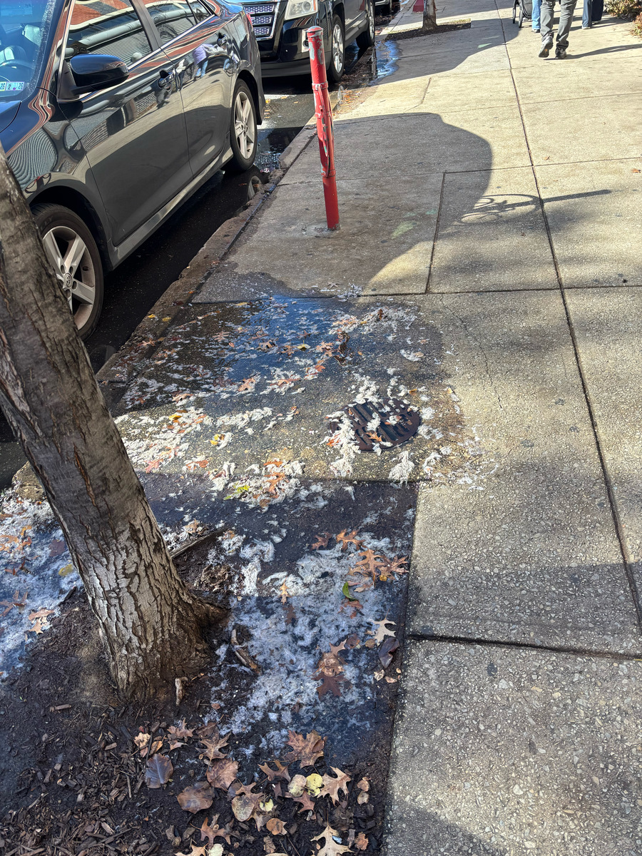 Photographic documentation of the work as submitted to the city's 311 record.