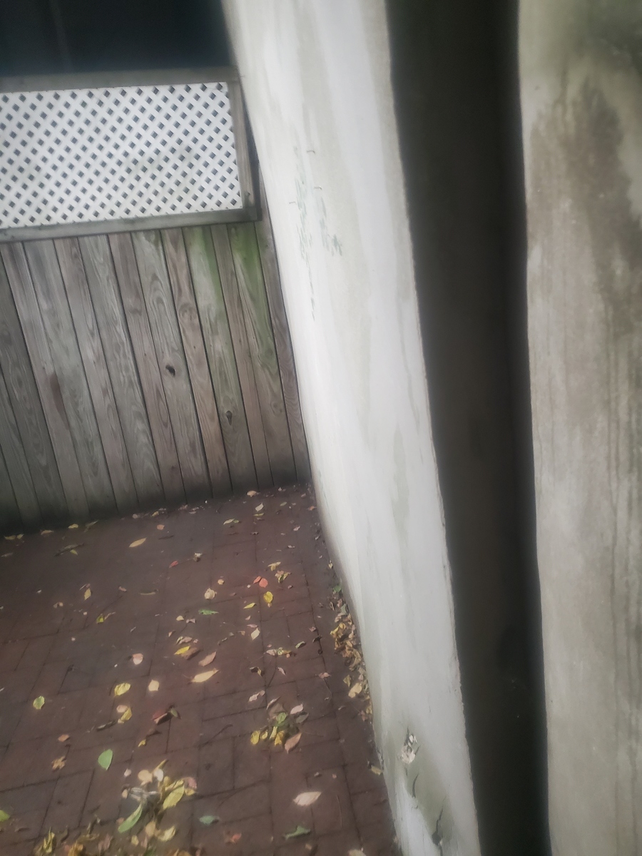 Photographic documentation of the work as submitted to the city's 311 record.