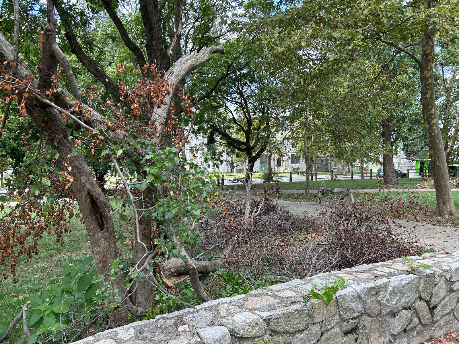Photographic documentation of the work as submitted to the city's 311 record.
