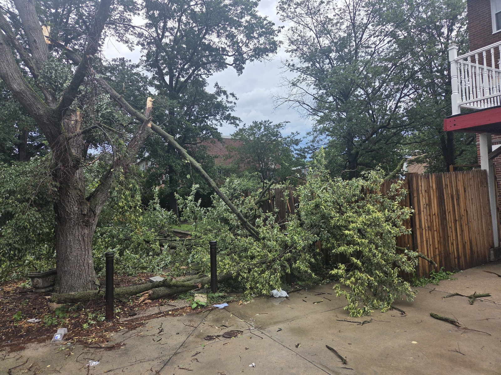 Photographic documentation of the work as submitted to the city's 311 record.