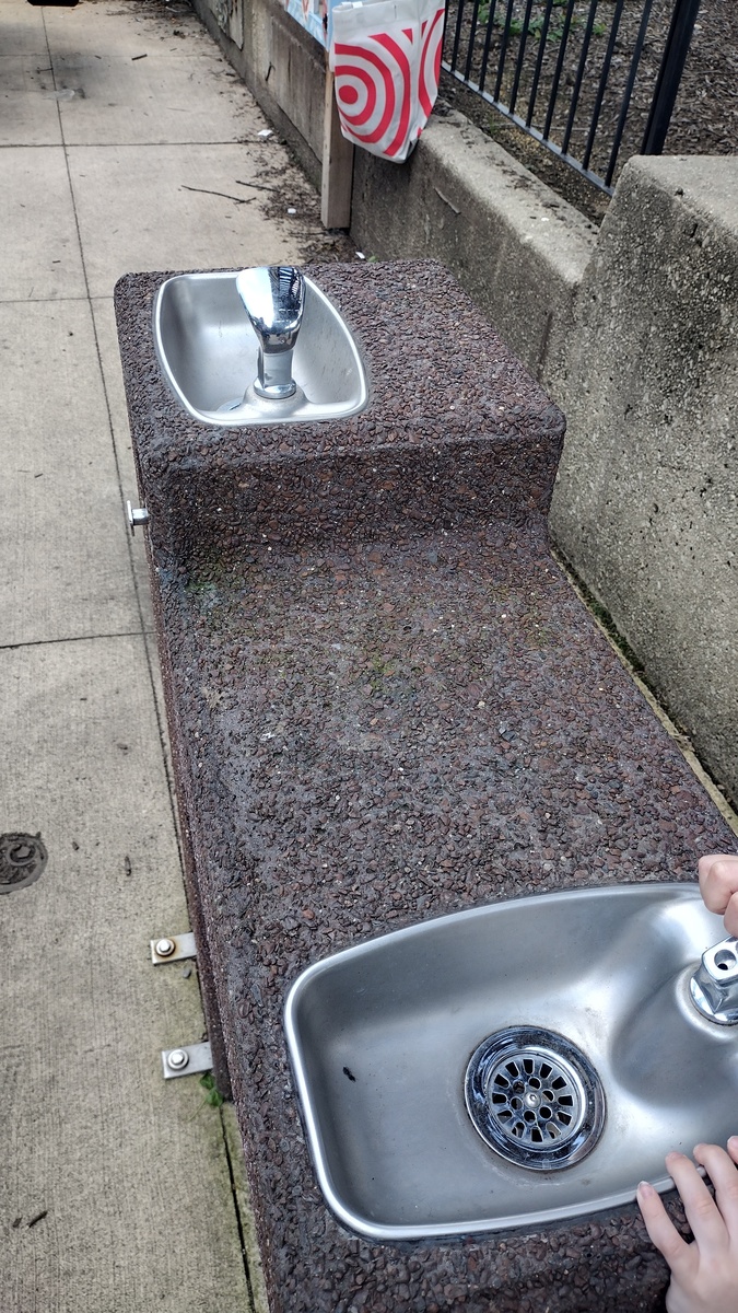 Photographic documentation of the work as submitted to the city's 311 record.