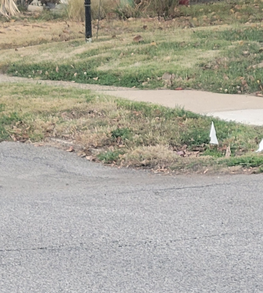 Photographic documentation of the work as submitted to the city's 311 record.