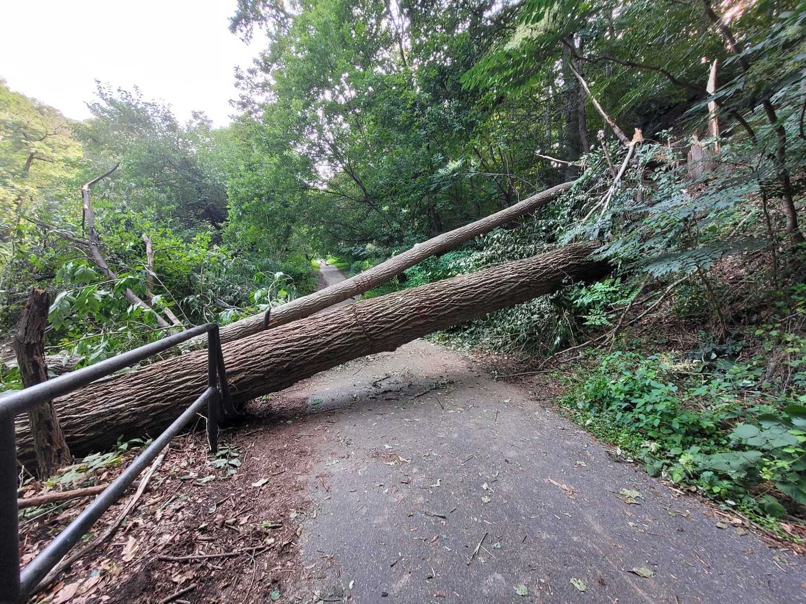 Photographic documentation of the work as submitted to the city's 311 record.