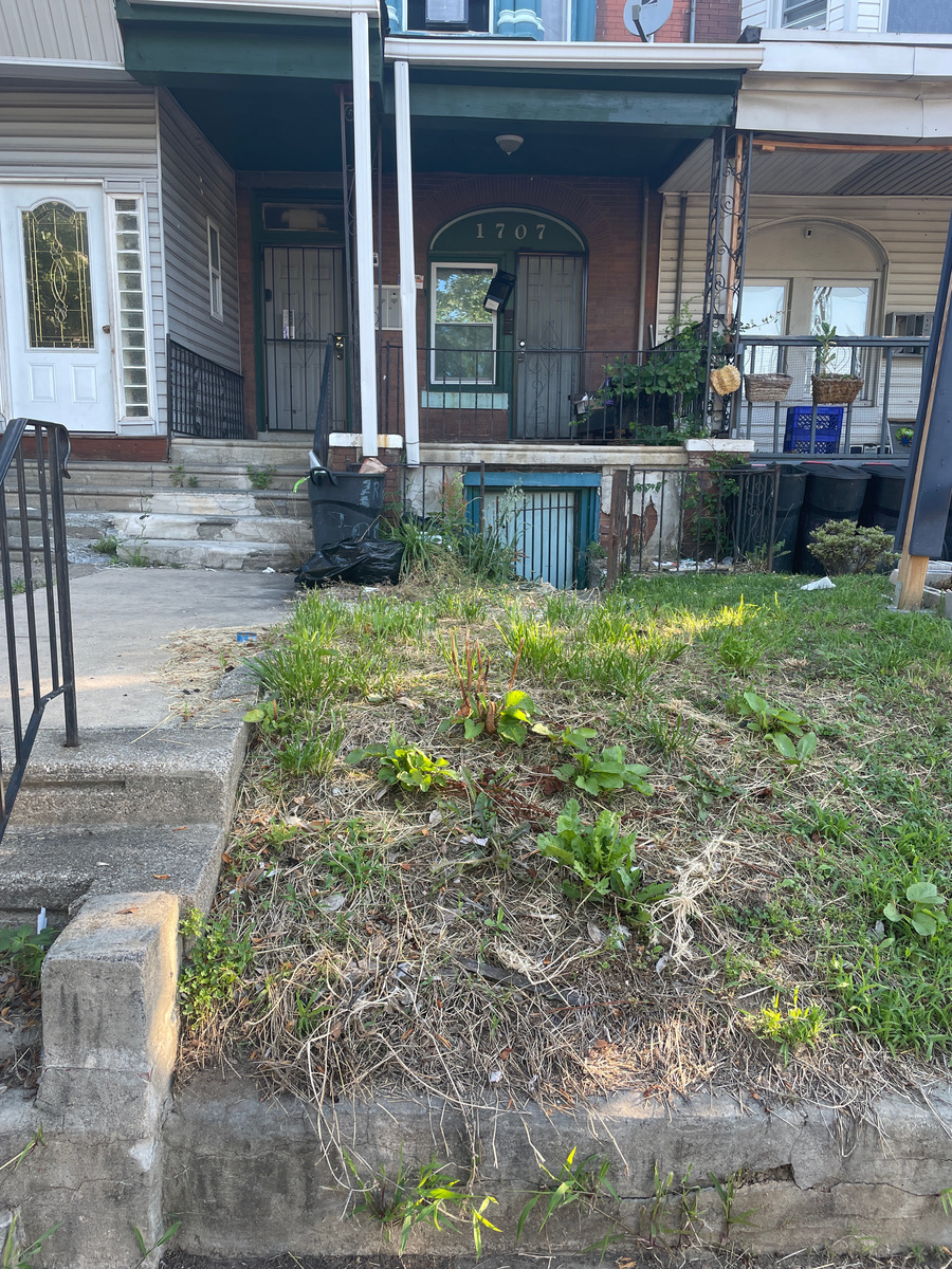 Photographic documentation of the work as submitted to the city's 311 record.