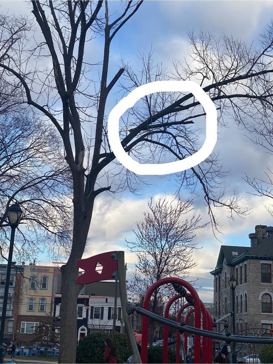 Photographic documentation of the work as submitted to the city's 311 record.