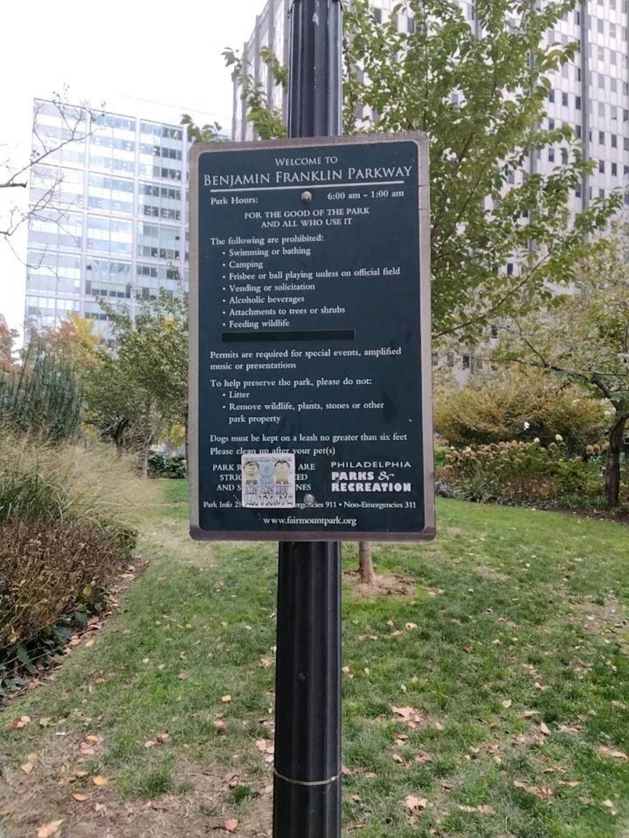 Photographic documentation of the work as submitted to the city's 311 record.